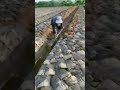 The process of turning the land on the farm  Good tools to help you work