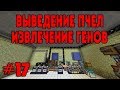 ВЫВЕДЕНИЕ ПЧЕЛ И ГЕНЕТИКА ☛ Развитие на сервере DraconicTechnoMagic #17