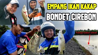 Empang Di Cirebon - Isinya Ikan Kakap Semua