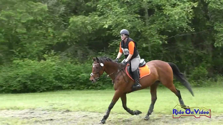 289XC Tracey Hopper on Scooby Beginner Novice AM C...
