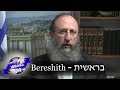 Weekly Torah Portion: Bereshith