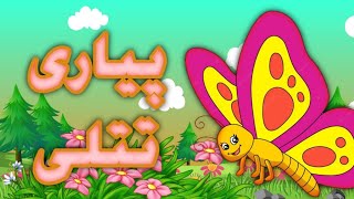 Rang Prangi Pyari Tetli | Urdu Poem For Kids || Shaheen Bachy screenshot 5