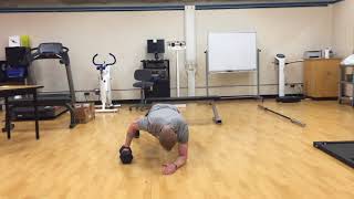 Plank weight transfers