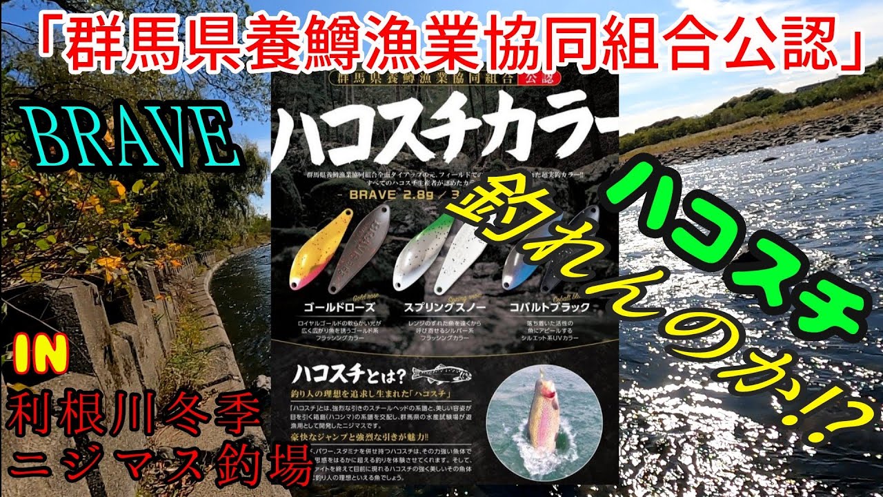 【利根川-冬季ニジマス釣場】「BRAVEスプーン-養鱒組合公認ハコスチカラーは釣れるのか!?」◎FPBルアーズ ブレイブ/レインボートラウト/ルアーフィッシング/群馬漁協