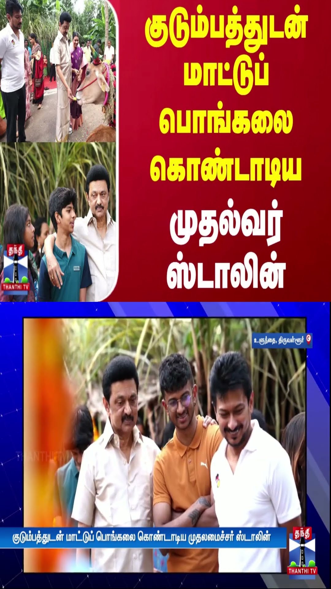 குடும்பத்துடன் மாட்டுப் பொங்கலை கொண்டாடிய முதலமைச்சர் ஸ்டாலின் | MK Stalin | Pongal Celebration