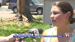 News   VNL Whistleblower Tall and rotting tree has some residents concerned in S  Fargo   June 23, 2