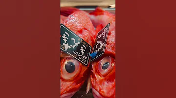 2 U KAP MUNG Sushi KINKI Fish 
