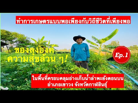 การทำเกษตรแบบเศรษฐกิจพอเพียงในพื้นที่ครอบคลุมของอ่างเก็บน้ำลำพะยังตอนบน Ep.1
