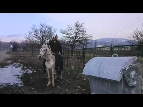 \"მუხრანი ორგანიზებულად განვითარებისკენ\"