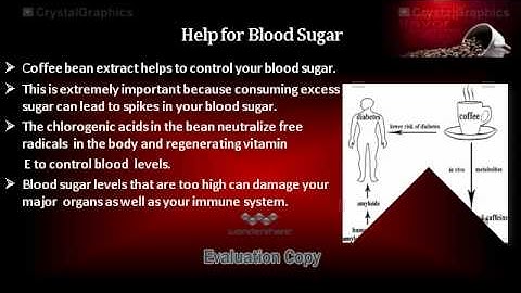 ppt on coffee beans extracts 100