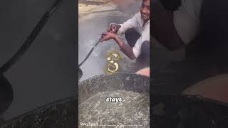 posting videos on youtube until it goes viral 6