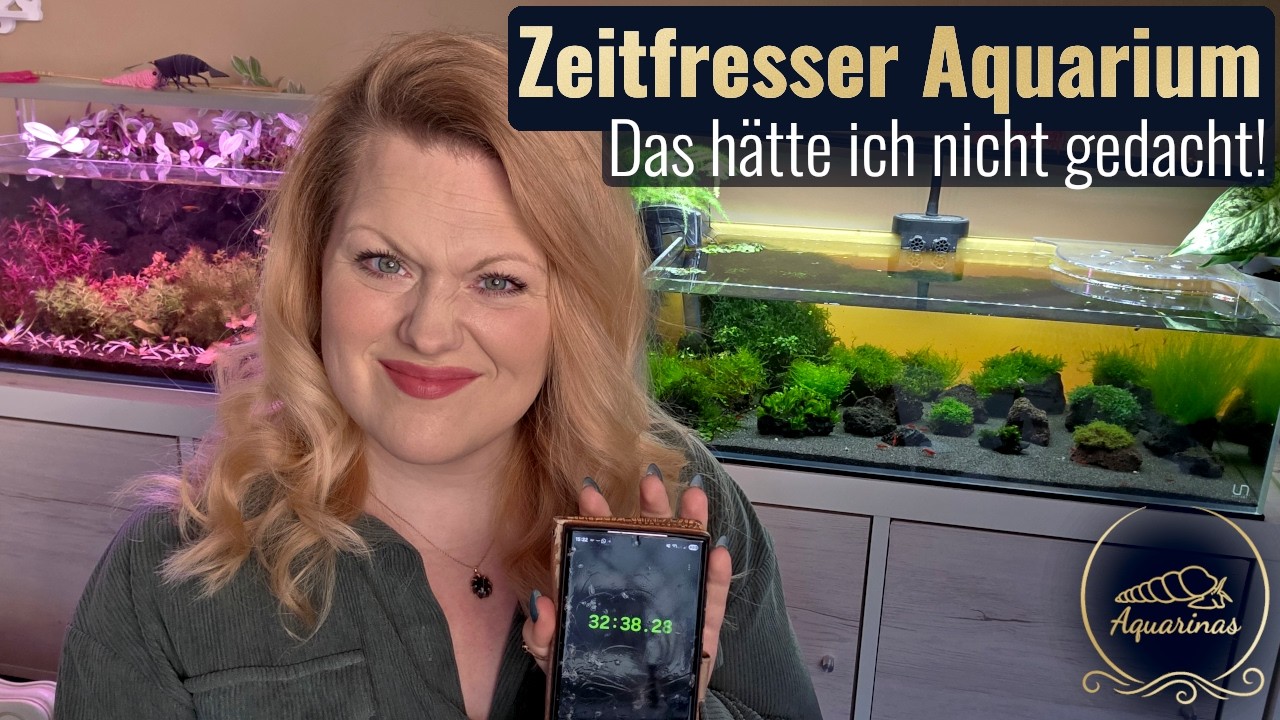 Wie viel Zeit kosten 10 Aquarien wirklich?