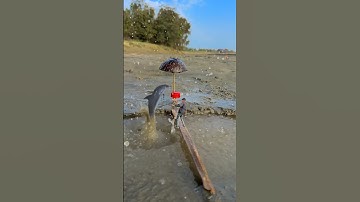 Amazing video tricks 👀😱 #shorts #videography