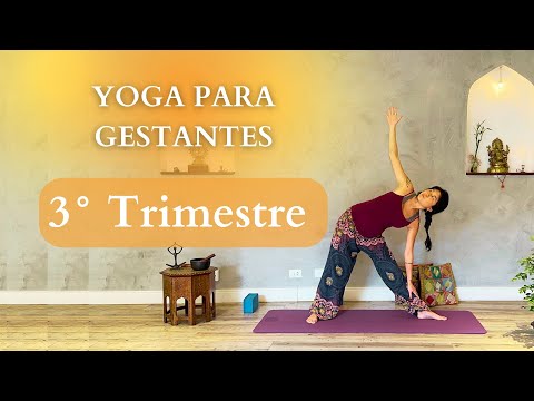 Respire com Simone Saavedra - CHATURANGA PRANAYAMA 