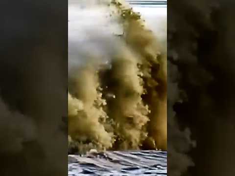 seaport ship traffic #youtubeshorts #youtube #shorts #short #shortsvideo #shortvideo #youtubeshort