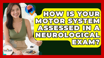 How Is Your Motor System Assessed In A Neurological Exam? - Brain Health Support Network
