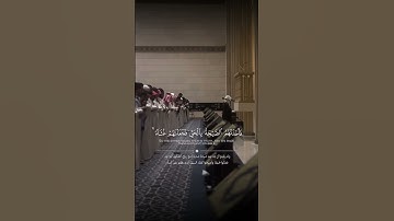 القارئ محمد بن عبدالمجيد أبا الحسن || تلاوة من سورة المؤمنون #محمد_أبالحسن #اكسبلور #تيك_توك