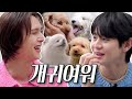 (SUB) 💘심쿵 주의💘 귀여운 강아지 멍뭉미 한도 초과🐶 [#무엇이든딜리버리2] EP.2 | 양요섭 손동운 | Special Delivery