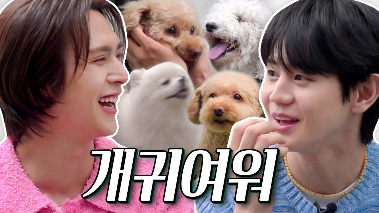 (SUB) 💘심쿵 주의💘 귀여운 강아지 멍뭉미 한도 초과🐶 [#무엇이든딜리버리2] EP.2 | 양요섭 손동운 | Special Delivery