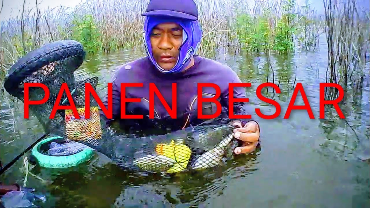 PANEN BESAR DI SPOT JILEMAN WADUK GAJAH MUNGKUR ⁉️ 