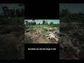 Mass Killing Field In Cambodia Khmer Rouge Genocide Khmerrouge Genocide Shorts