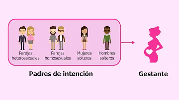 ¿A quién se parece el bebé en la gestación subrogada?