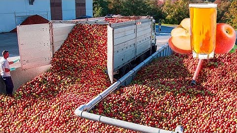 How apple juice is made in the factory |Modern fruit juice making technology| Food factory 