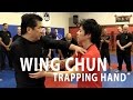 Sifu Francis Fong - Trapping Concept | FFIA Public Video