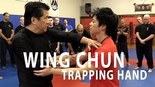 Sifu Francis Fong - Trapping Concept | FFIA Public Video