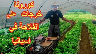 انهيار الاقتصاد الاسباني بسبب فيروس كورونا