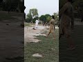Final match 🏏 | best of 3 series Sagar XI 476 KOTTAN vs Master Stars 209 GB  🏏Venue 209 GB #cricket
