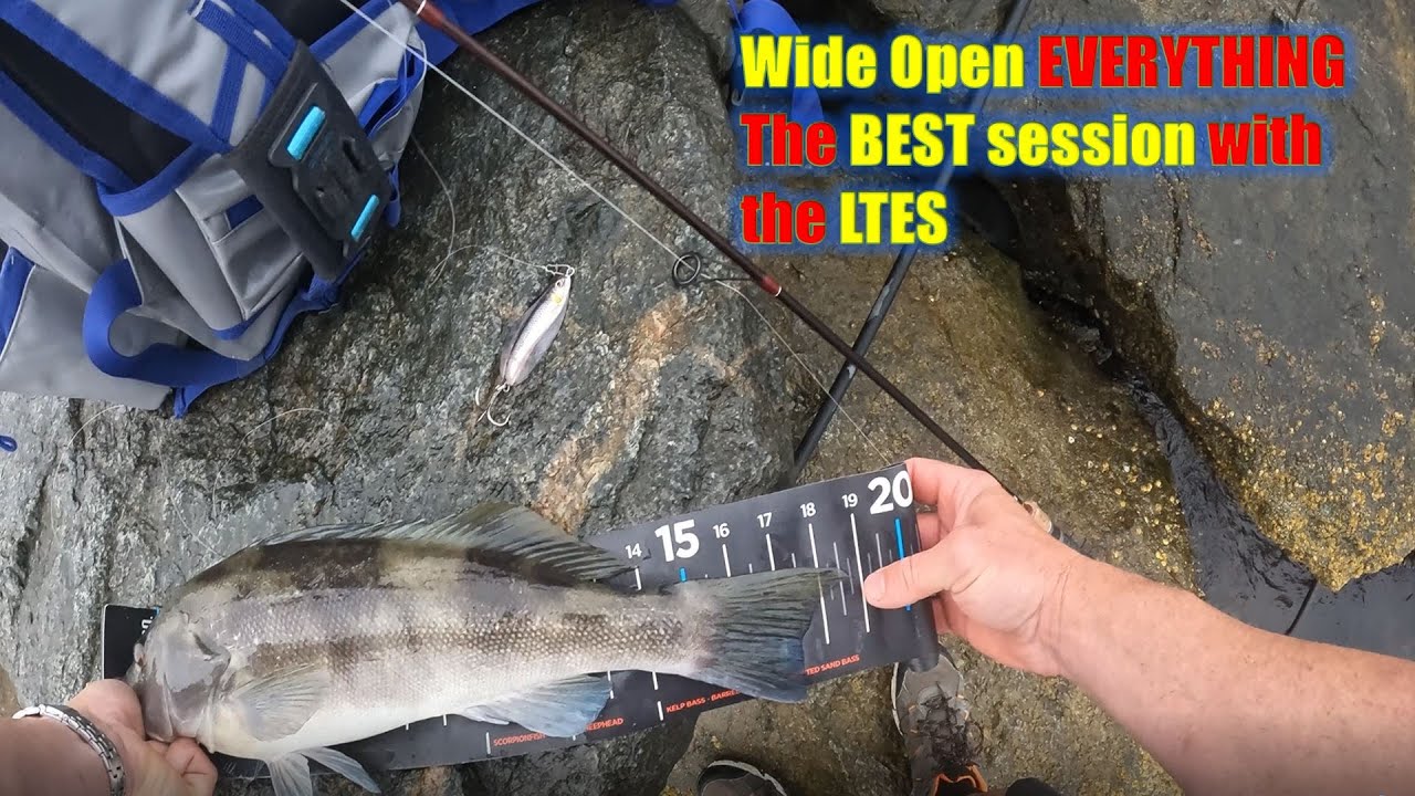 Wide Open EVERYTHING | The BEST session with the LTES