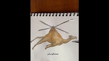 الفيلاولة الذ من البرتناقة حسب ظني Trending Shorts Explore Shortvideo 