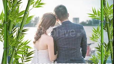 Bamboo 01 | Motion Graphics - Envato elements