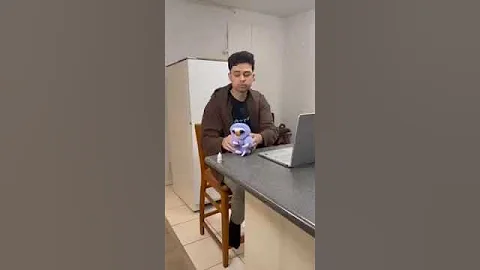 Naughty cat learn a lesson