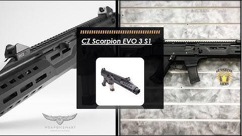 My New CZ Scorpion Evo 3 S1 w/ Flash Can & Folding Brace 2020