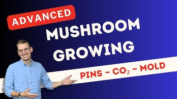 Advanced Mushroom Growing Guide: Pins, CO₂ & Mold Contamination Explained