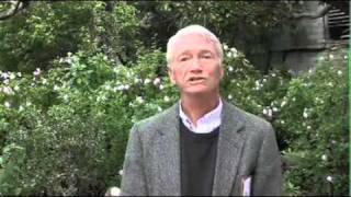 Mike Dawson On Art In The Adobes