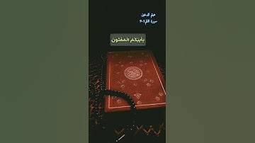 سورة القلم الآية 1-9