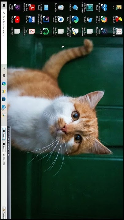 Python Turtle Graphics in Python Programming | Python Turtle demo ...