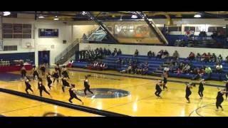 McCollum High School Gold Stars 2011