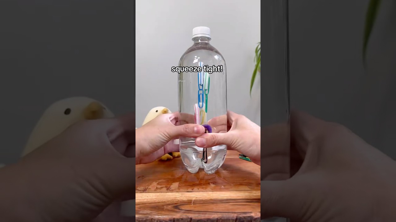 Simple Science - Diving Explained 