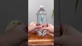 Simple Science - Diving Explained #science #diving #water