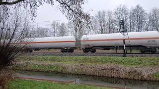 OBB lok met gastrein. 