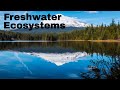 Freshwater Ecosystems and Their Unique Features