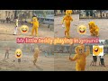 little teddy makes crazyness in the ground 😍😍😍😂😂😂