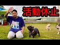 【YouTube辞めます】今まで本当にありがとうございました/また逢う日まで