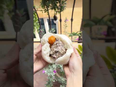 The MacBook and the steamed buns! | Xiao Mantou