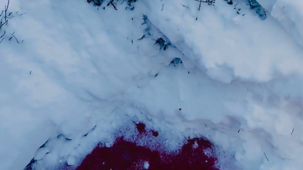 Recently worst Snow Fall in Toronto!