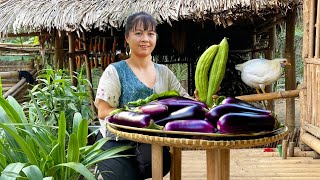 Harvesting Eggplant Goes to Market Sell - Off Grid Farm | New Free Bushcraft